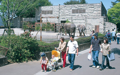 八木山動物公園 写真提供：宮城県観光課