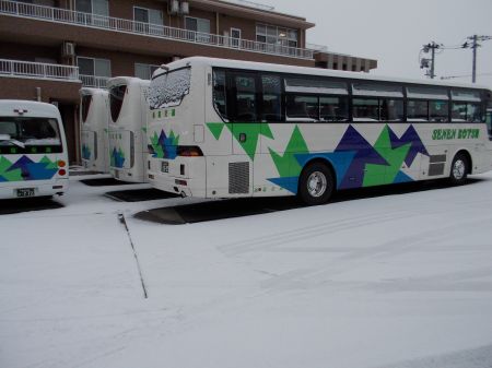 雪が降りました